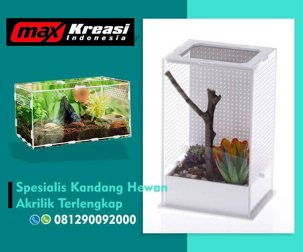 gbr artikel kandang akrilik bandung (2) gbr artikel kandang akrilik bandung (2)