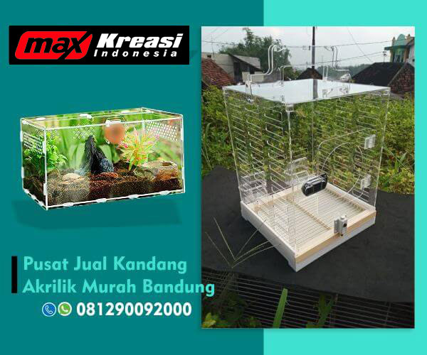 gbr artikel kandang akrilik bandung (3) gbr artikel kandang akrilik bandung (3)